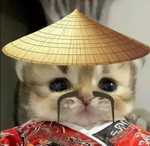 Ảnh đại diện avatar meme chill mang hài nhẹ nhàng vibe chill