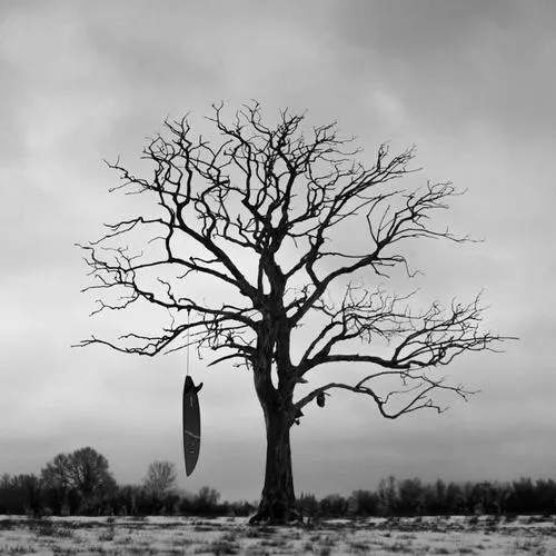 Hình đơn sắc gợi cô đơn trong khung hình.