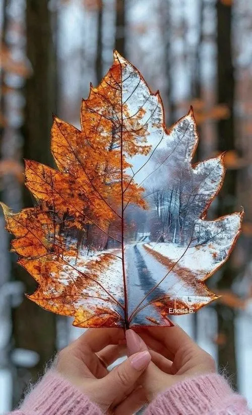 Ảnh nghệ thuật và hành trình tìm kiếm chiều sâu thị giác