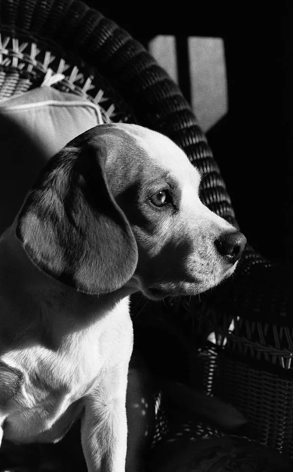 Nhiếp ảnh nghệ thuật nơi màu sắc tạo không khí tĩnh lặng