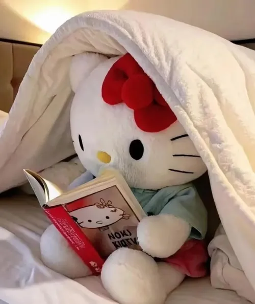 Ảnh hiển thị Kitty minimal tông tối lạnh thị giác