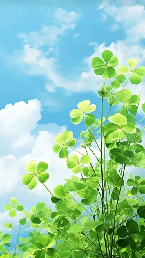 Thiên nhiên xanh ôm trọn cỏ bốn lá