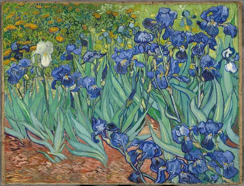Hoa diên vĩ (Irises)