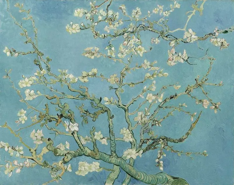 Hoa hạnh nhân (Almond Blossoms)