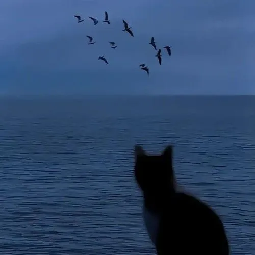 Ảnh avatar dễ thương nữ nhưng tâm trạng trầm.