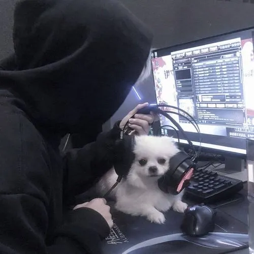 Phong thái trầm tĩnh giữa khoảnh khắc tĩnh ít chuyển động