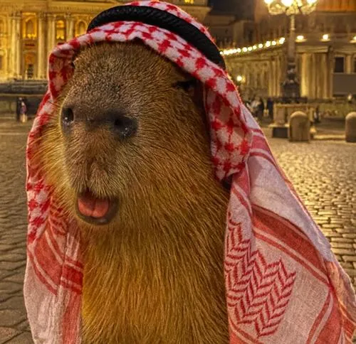 Hình profile capy với ánh mắt hiền và bố cục tối giản