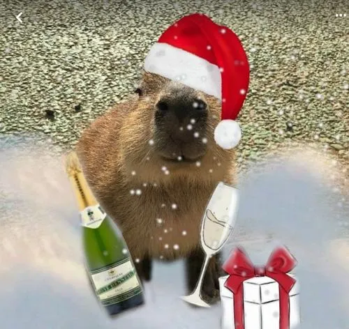 Ảnh hiển thị capybara noel ngoại hình tròn trịa nhìn rất hiền