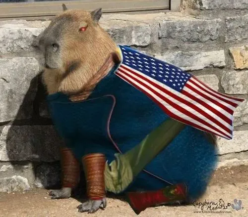 Capybara biểu tượng hòa bình hòa hợp với nhiều cảm xúc