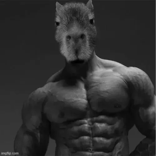 Capybara thần thái thản nhiên khiến meme lan truyền