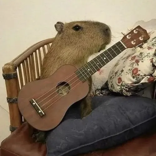 Ảnh avatar ngầu capybara vô tri ánh sáng trung tính dịu mắt