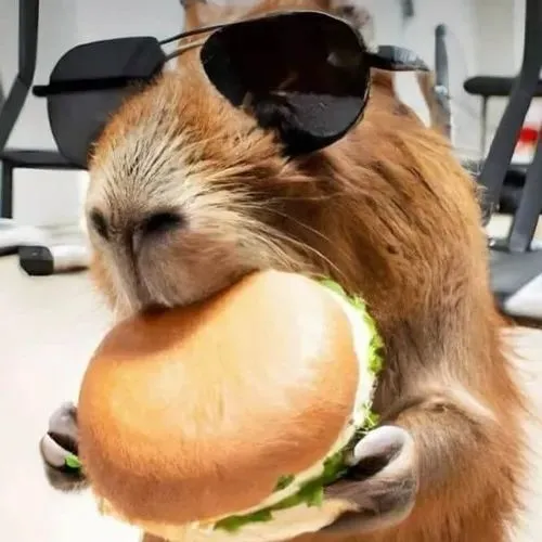 Ảnh profile Tiktok capybara vô tri nhẹ tênh