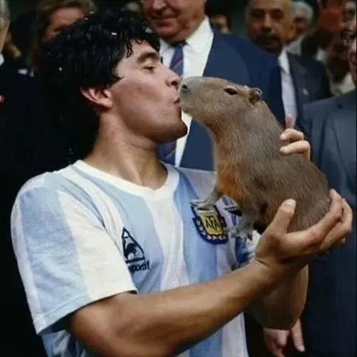 Capybara chill hết cỡ không phản ứng trước drama xung quanh