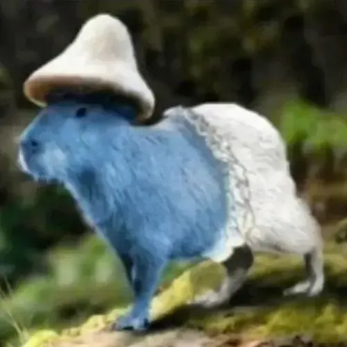 Capybara dễ gây cười nhờ sự bình thản quá mức