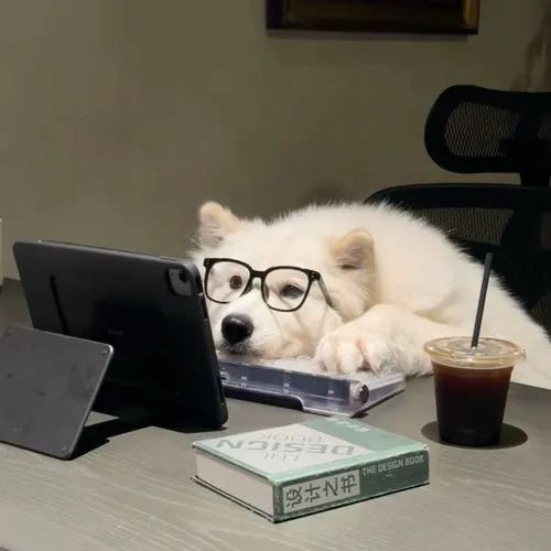 Ảnh đại diện chó dùng màu sắc gắt làm nổi biểu cảm ngố