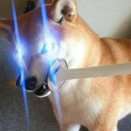 Avatar chó meme hài dành cho người không thích nghiêm túc