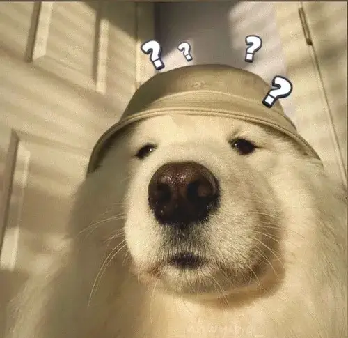 Một khuôn mặt chó với miệng cười ngớ ngẩn tạo meme tạo tiếng cười