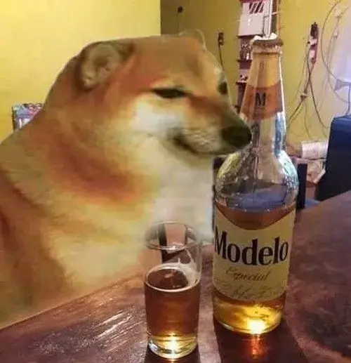 Sự kết hợp ánh sáng và biểu cảm mặt tạo ảnh đại diện hài