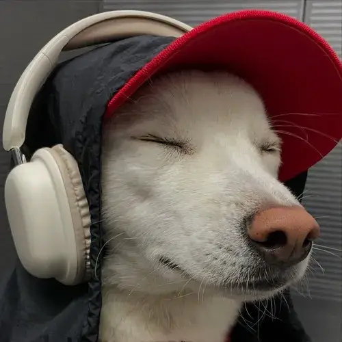 Một khuôn mặt chó ghi dấu phong cách nhây tạo tương tác