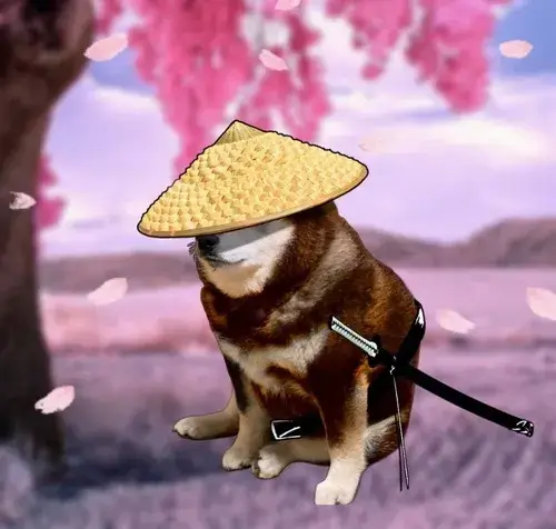 Sự hài hước đến từ miệng chó và biểu cảm ngố tự nhiên