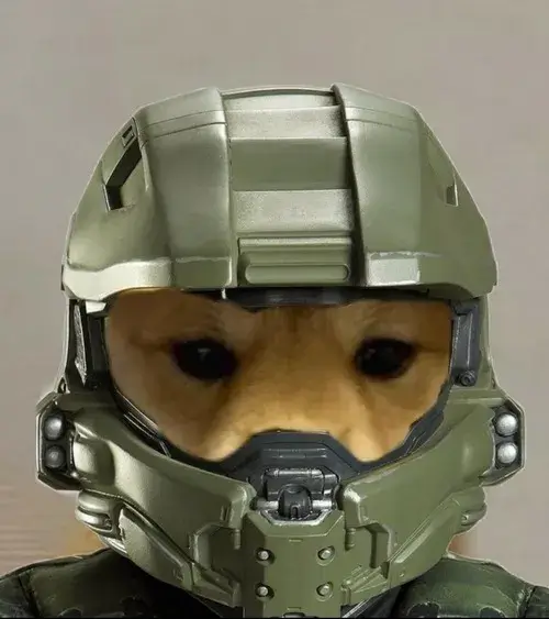 Một cảnh chó thể hiện cảm xúc bằng ánh mắt đơ khó đỡ