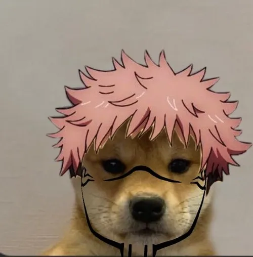 Sự giải trí đến từ meme tạo tiếng cười của chó