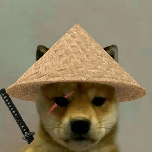 Khoảnh khắc chó meme vô tri với nụ cười khó hiểu lan tỏa mạnh