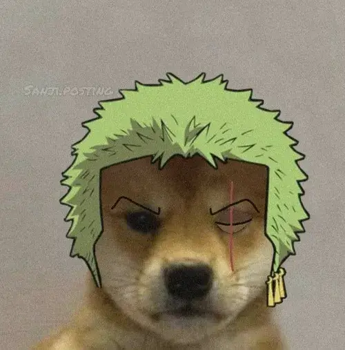 Hình chó meme thể hiện tư thế kỳ quặc đầy vui nhộn