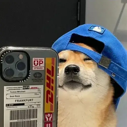 Khoảnh khắc chó meme vô tri ghi lại nụ cười khó hiểu đầy hài hước