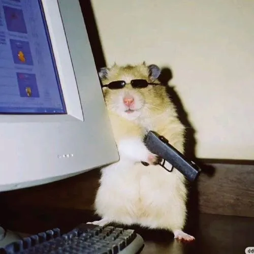 Avatar chuột hamster cute khiến trang cá nhân trông thân thiện hơn hẳn