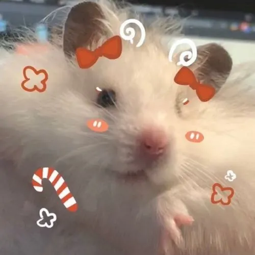 Ánh nhìn long lanh làm hamster thêm gần gũi