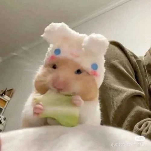 Lông mềm phủ thân hình mũm mĩm dễ thương