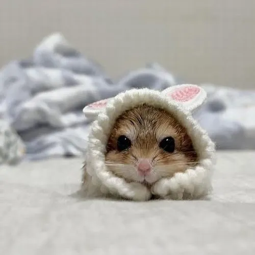 Biểu cảm quyết định cảm xúc ánh mắt tạo kết nối