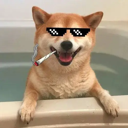 Ảnh đại diện chó thể hiện sự hài hước rất gần gũi