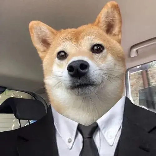 Hình profile chó mang meme chó lầy đầy giải trí