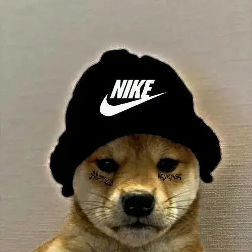 Ảnh chó vô tri tạo meme tạo tiếng cười cực mạnh