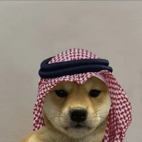 Ảnh chó vô tri lan tỏa nhờ dễ lan truyền trong cộng đồng mạng