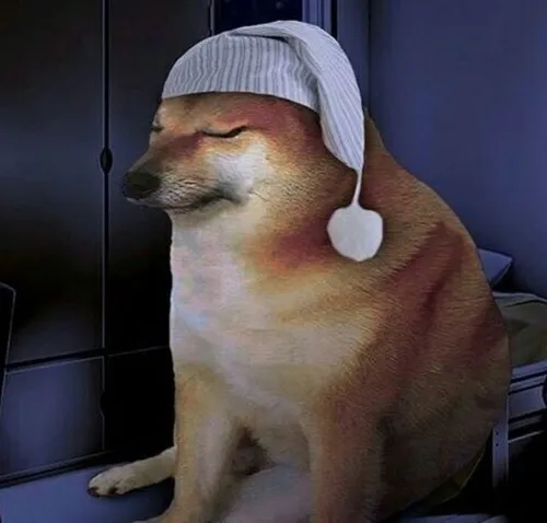 Hình chó meme pha trộn lầy lội và nhây rất tự nhiên