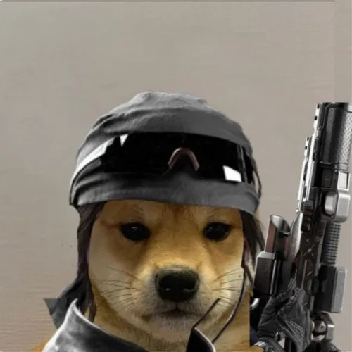 Hình profile chó mang thần thái bất cần cùng ánh nhìn trống rỗng