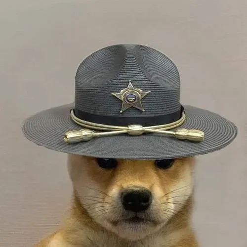 Ảnh đại diện chó cá tính dùng màu đen xám nâu trầm bí ẩn