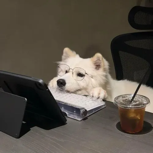 Ảnh đại diện chó mang ánh mắt sắc và vibe trầm tĩnh đầy ngầu