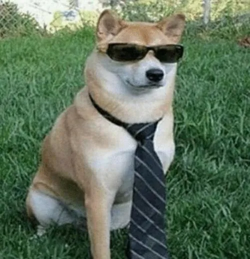 Ảnh profile chó lạnh lùng nhấn tương phản cao và bóng đổ sâu