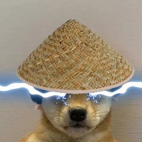 Chiều sâu gương mặt chó nhờ ánh sáng tối