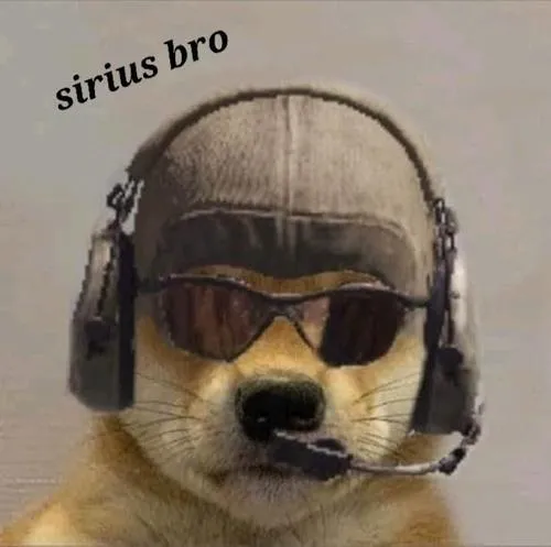 Sự mạnh mẽ toát ra từ cổ và vai chó