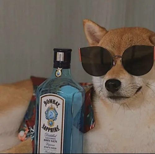 Màu tối tăng cảm giác bí ẩn cho chó trong khung hình