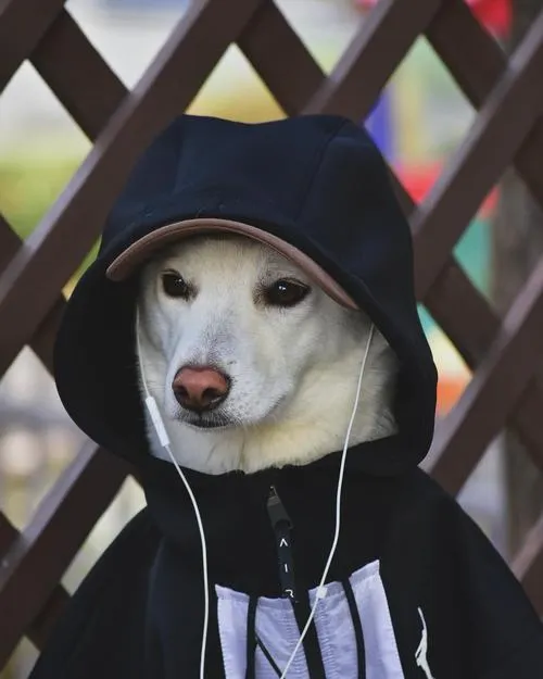 Chi tiết đầu chó và vai tạo khí chất mạnh mẽ