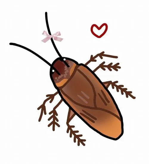 Ảnh trang cá nhân gián cute với hình dáng bo tròn