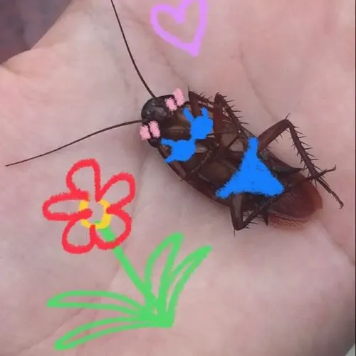 Gián mang yếu tố hài hước qua nét vẽ tròn và ánh sáng phẳng