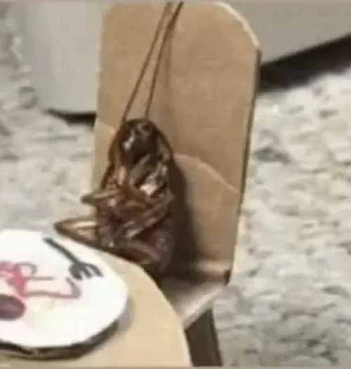 Ảnh profile Tiktok gián hoạt hình theo nghệ thuật tối giản sáng tạo