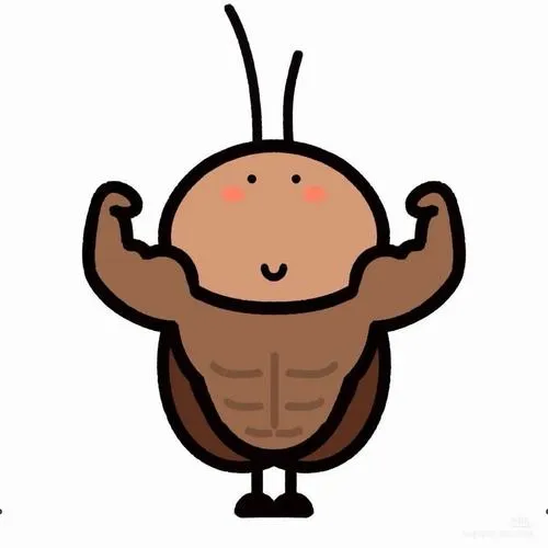 Trọn bộ 45 Ảnh Avatar Con Gián Cute khiến cộng đồng mạng nhìn lại định kiến xấu xí